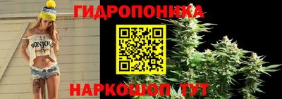 дмт Ставрополь