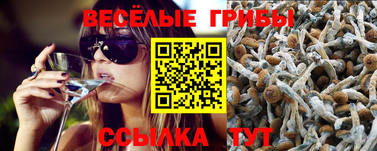 магазин продажи наркотиков  Галлюциногенные грибы Cubensis  Вход с VPN  Псилоцибиновые грибы прущие грибы  Донецк 