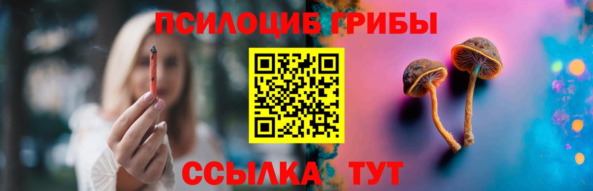 Галлюциногенные грибы мицелий Донецк